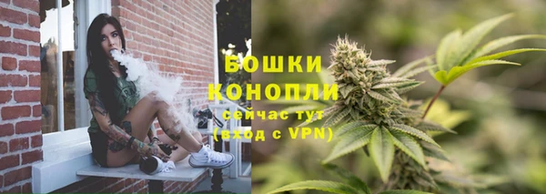 дмт Верея