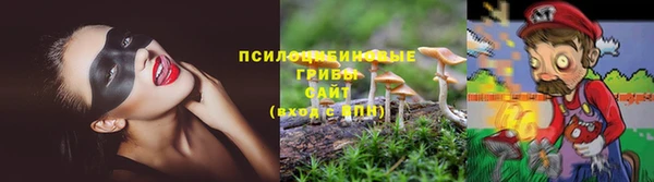 СК Дедовск
