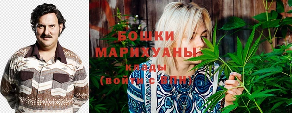 ПСИЛОЦИБИНОВЫЕ ГРИБЫ Бронницы