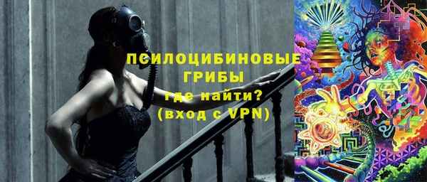 ПСИЛОЦИБИНОВЫЕ ГРИБЫ Бронницы