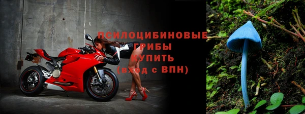 дмт Верея