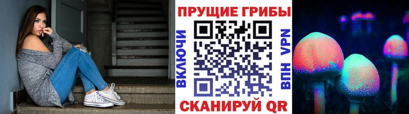 Псилоцибиновые грибы Magic Shrooms  Курильск 